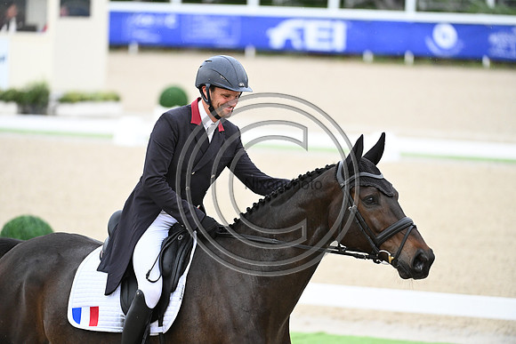 Mondial du Lion