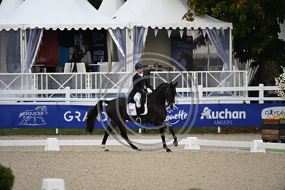 Mondial du Lion