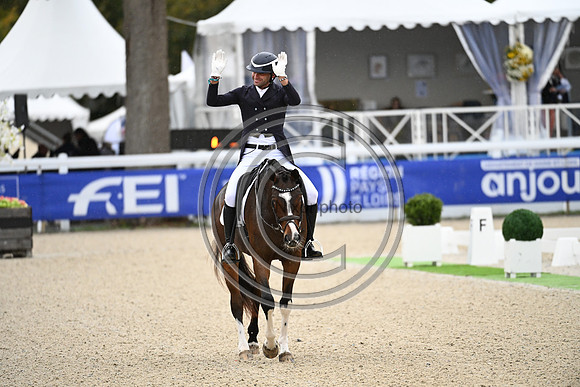 Mondial du Lion