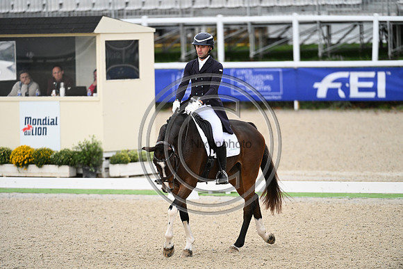 Mondial du Lion