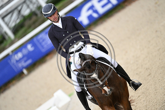 Mondial du Lion
