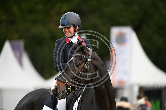 Mondial du Lion