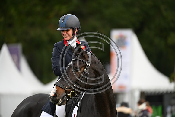 Mondial du Lion