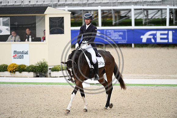 Mondial du Lion