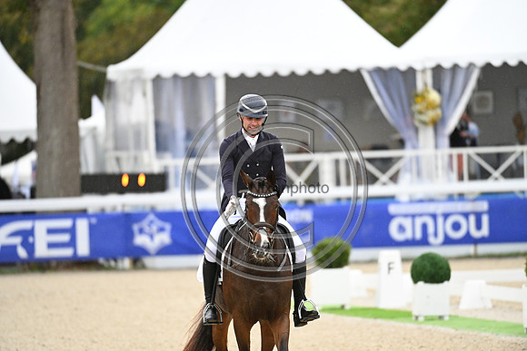 Mondial du Lion