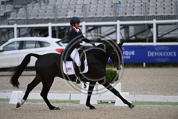 Mondial du Lion
