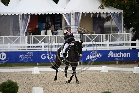 Mondial du Lion