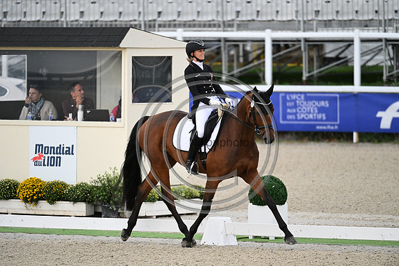 Mondial du Lion