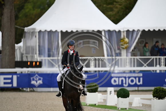 Mondial du Lion