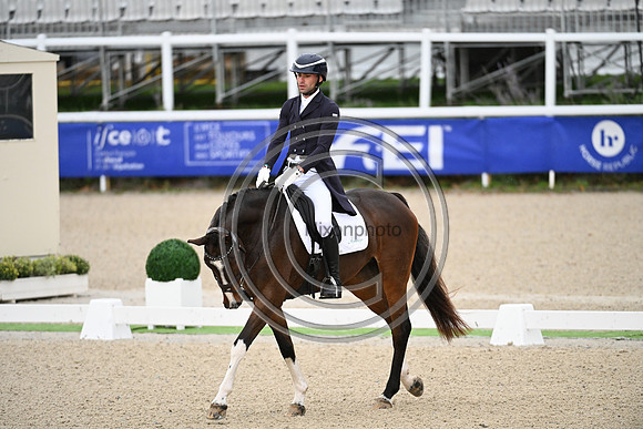 Mondial du Lion