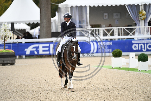 Mondial du Lion