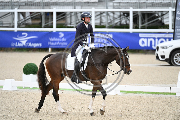 Mondial du Lion