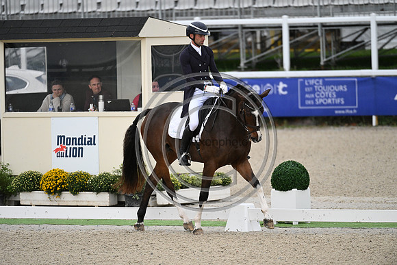 Mondial du Lion