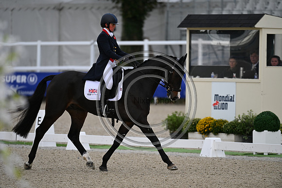 Mondial du Lion