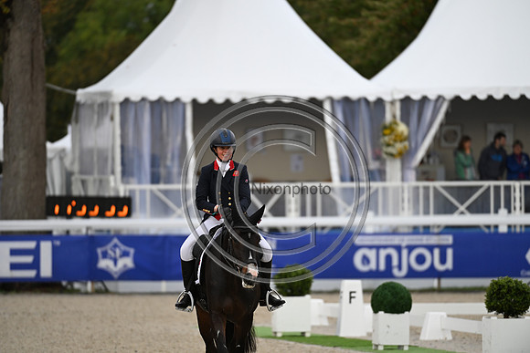 Mondial du Lion