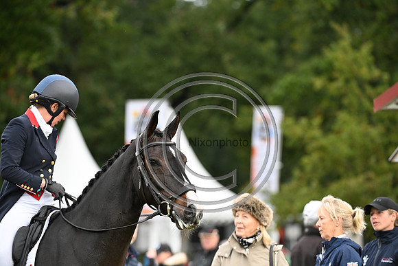 Mondial du Lion