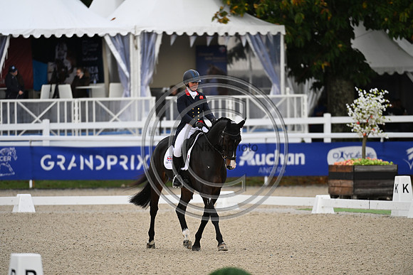 Mondial du Lion