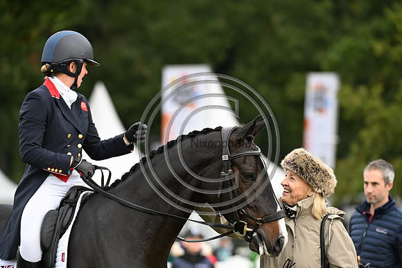 Mondial du Lion