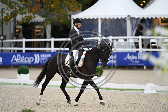 Mondial du Lion
