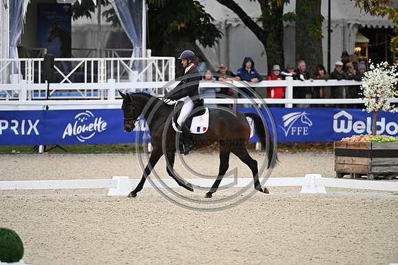 Mondial du Lion