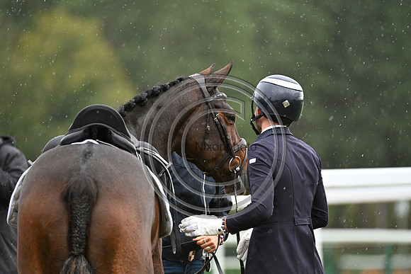 Mondial du Lion