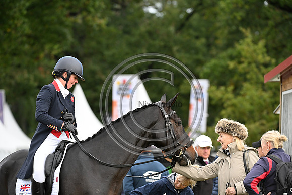 Mondial du Lion
