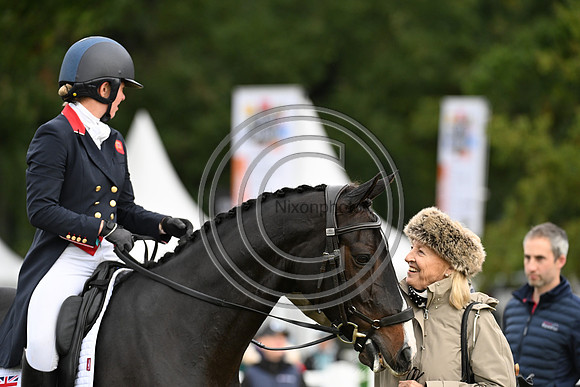 Mondial du Lion