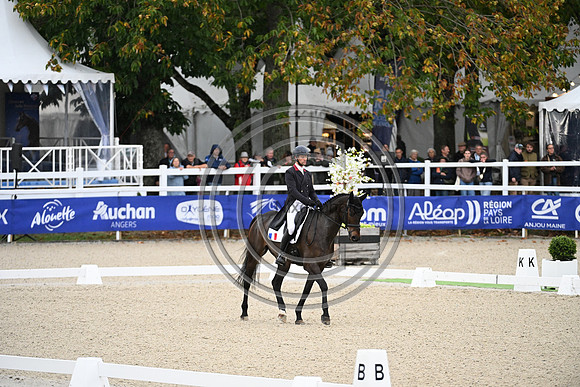 Mondial du Lion