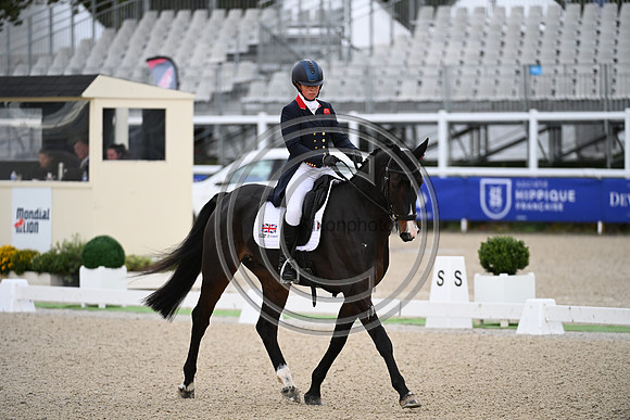 Mondial du Lion