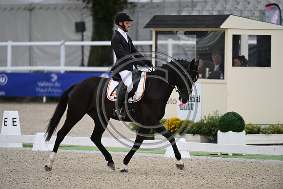 Mondial du Lion