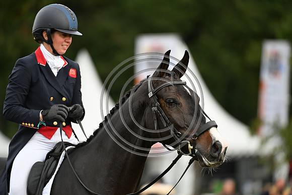 Mondial du Lion