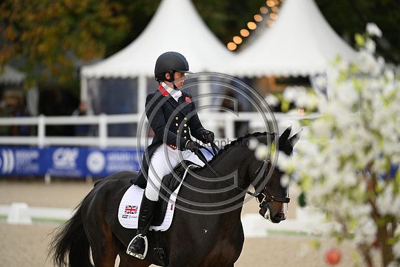 Mondial du Lion