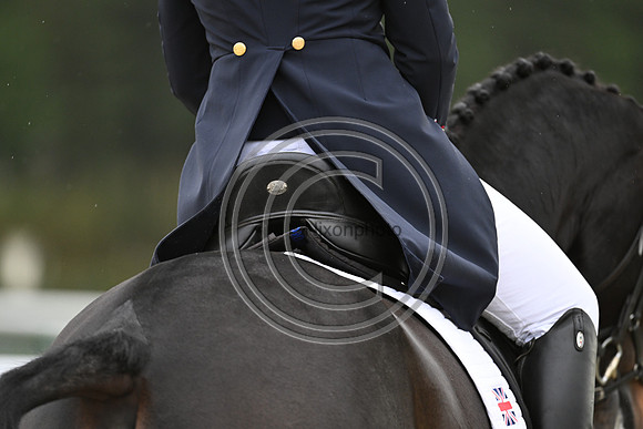 Mondial du Lion