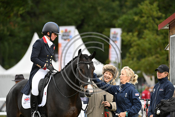 Mondial du Lion