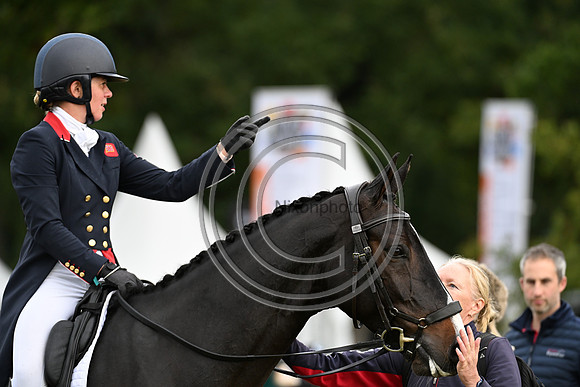 Mondial du Lion