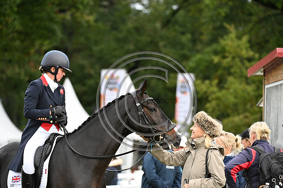 Mondial du Lion