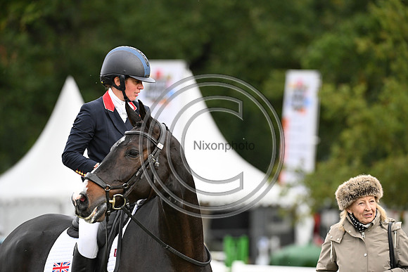 Mondial du Lion