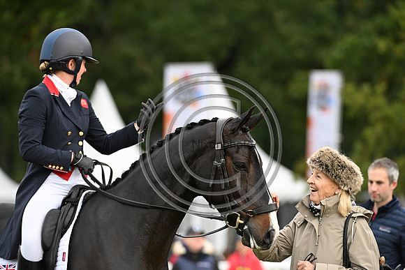 Mondial du Lion