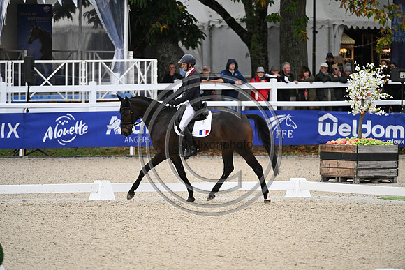 Mondial du Lion