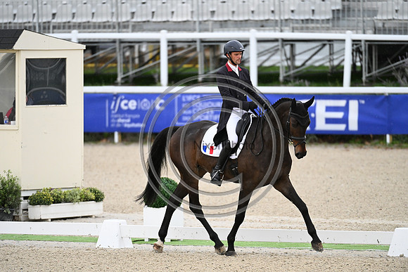 Mondial du Lion
