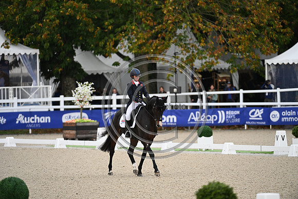 Mondial du Lion