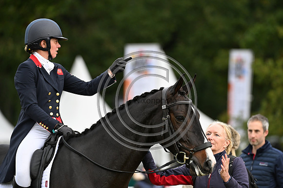 Mondial du Lion