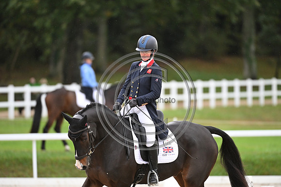 Mondial du Lion