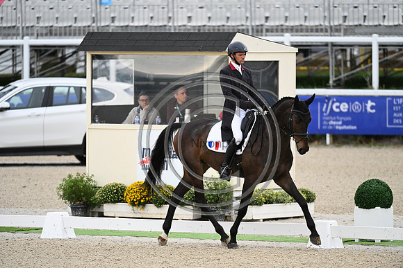 Mondial du Lion