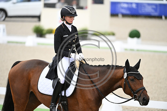 Mondial du Lion
