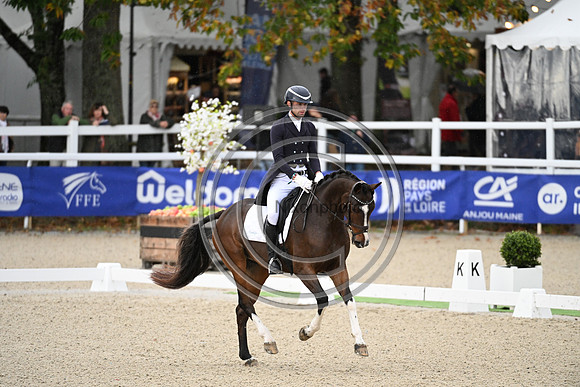 Mondial du Lion