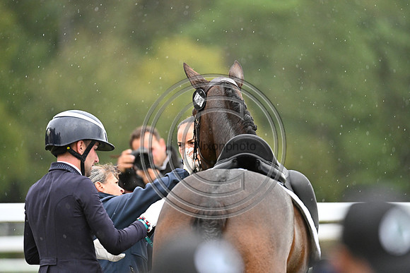 Mondial du Lion