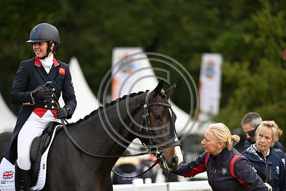 Mondial du Lion