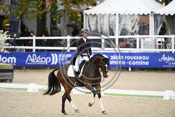 Mondial du Lion