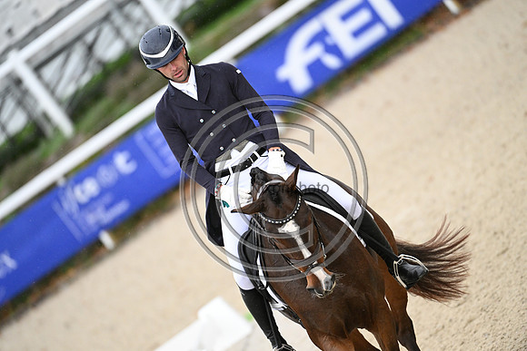 Mondial du Lion